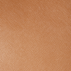 Lauren-Sandbraun