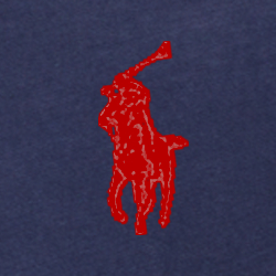Cruise Navy