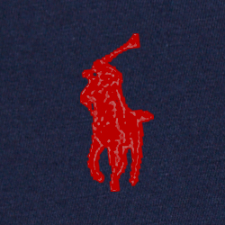 Cruise Navy