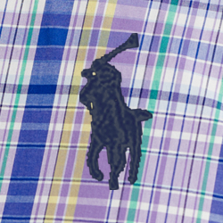 Purple/Yellow Multi