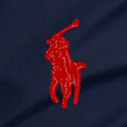 Cruise Navy