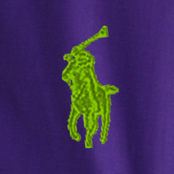 Purple Cactus