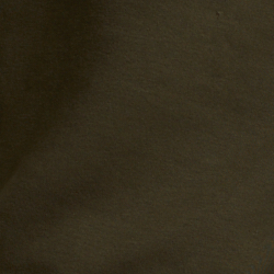 Company Olive