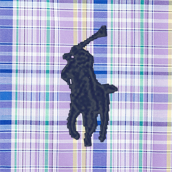 Purple/Yellow Multi