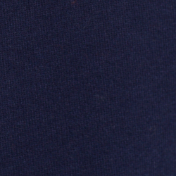 Cruise Navy