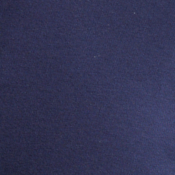 Cruise Navy
