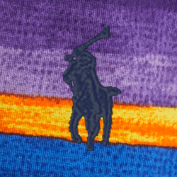Electric Stripe