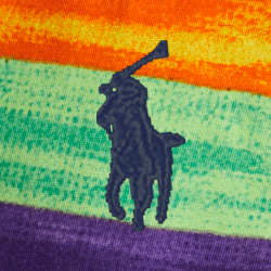 Electric Stripe