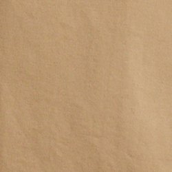 Coastal Beige