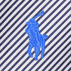 Navy/White