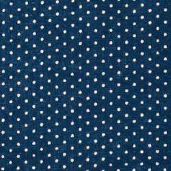 Dark Indigo