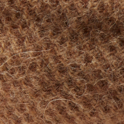 Camel And Brown