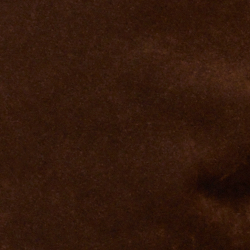 Chestnut Brown