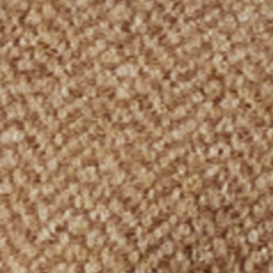 Camel And Tan