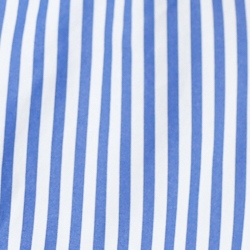 Blue/White
