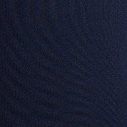 Cruise Navy