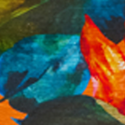 Orange Multi