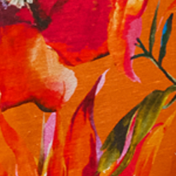 Orange Multi