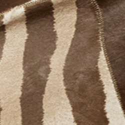 Brown/Cream Multi
