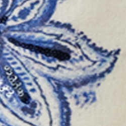 Ombre Paisley