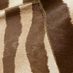 Brown/Cream Multi