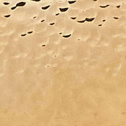 Metallic Gold