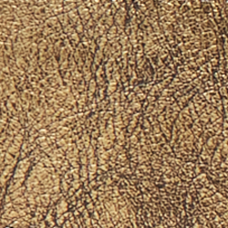 Bronze