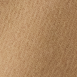 Cammello