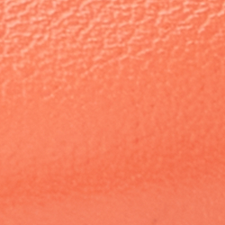 Portside Coral