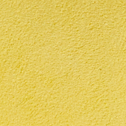 Sunfish Yellow