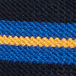 Navy/Royal/Gold
