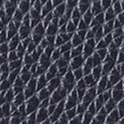 Midnight Navy