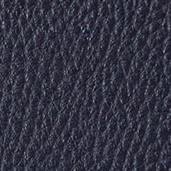 Midnight Navy