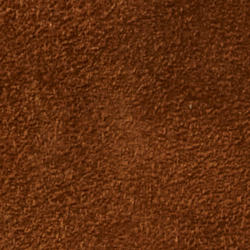 Cinnamon