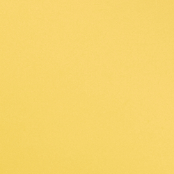 Sunfish Yellow