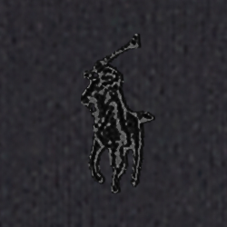 Polo Black