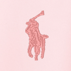 Acacia Pink