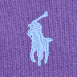 Tie Purple