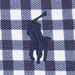 Blue Gingham