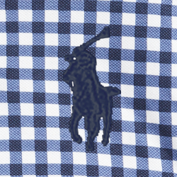 Blue Gingham