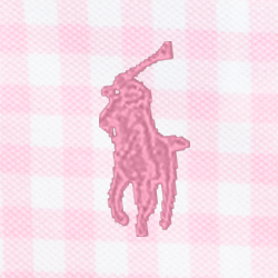 Pink Gingham