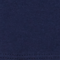 Cruise Navy