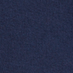 Cruise Navy