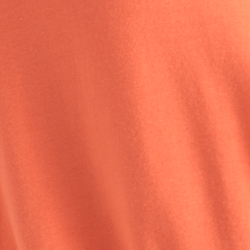 Portside Coral