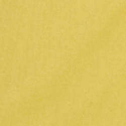 Sunfish Yellow