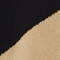 Black/Tan