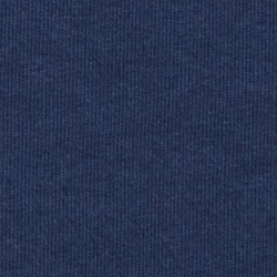 Cruise Navy