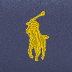 Bleu marine/Jaune Pp