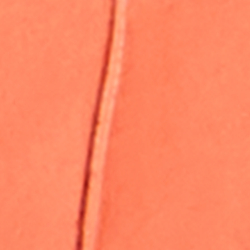 Coral/Yellow