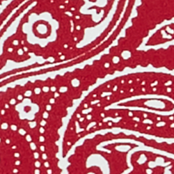 Red Bandana Print